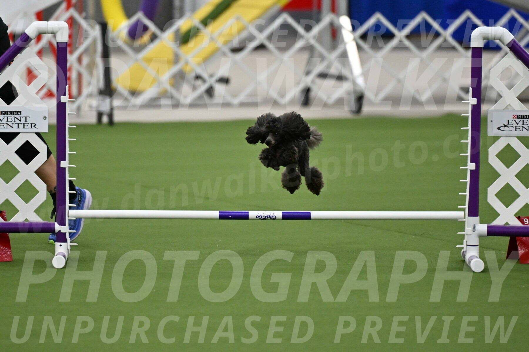 MAS-EX-JWW-4-8-Inch_0810