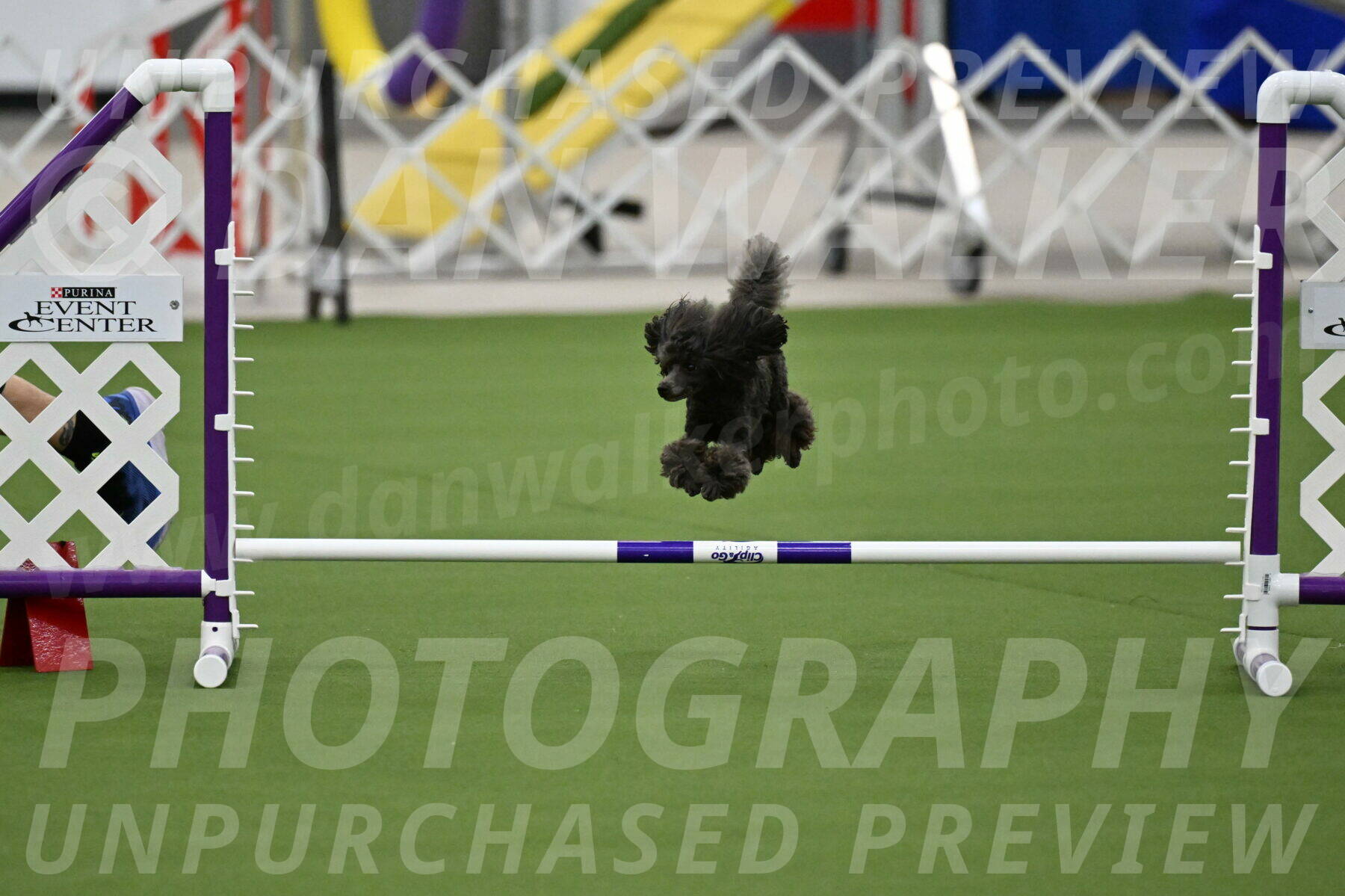 MAS-EX-JWW-4-8-Inch_0812