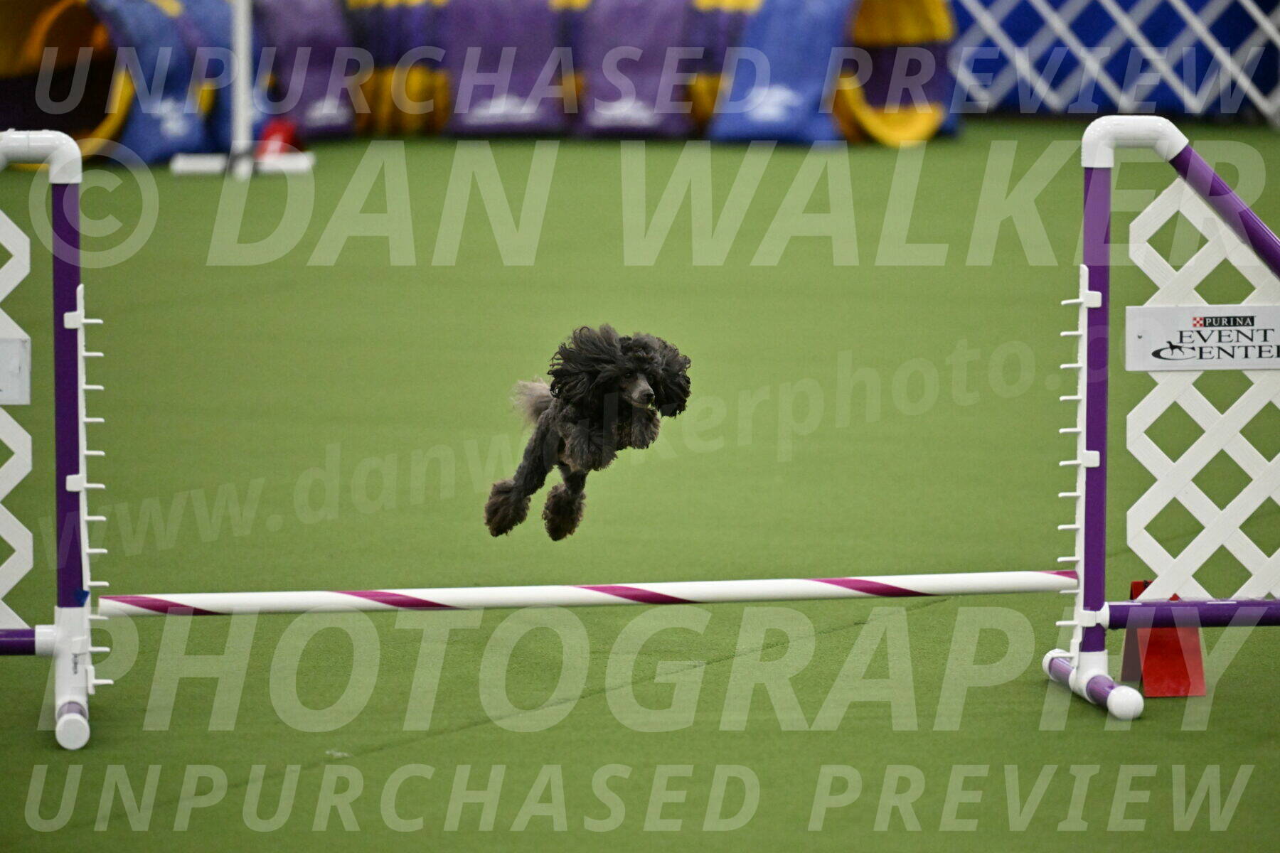 MAS-EX-JWW-4-8-Inch_0818