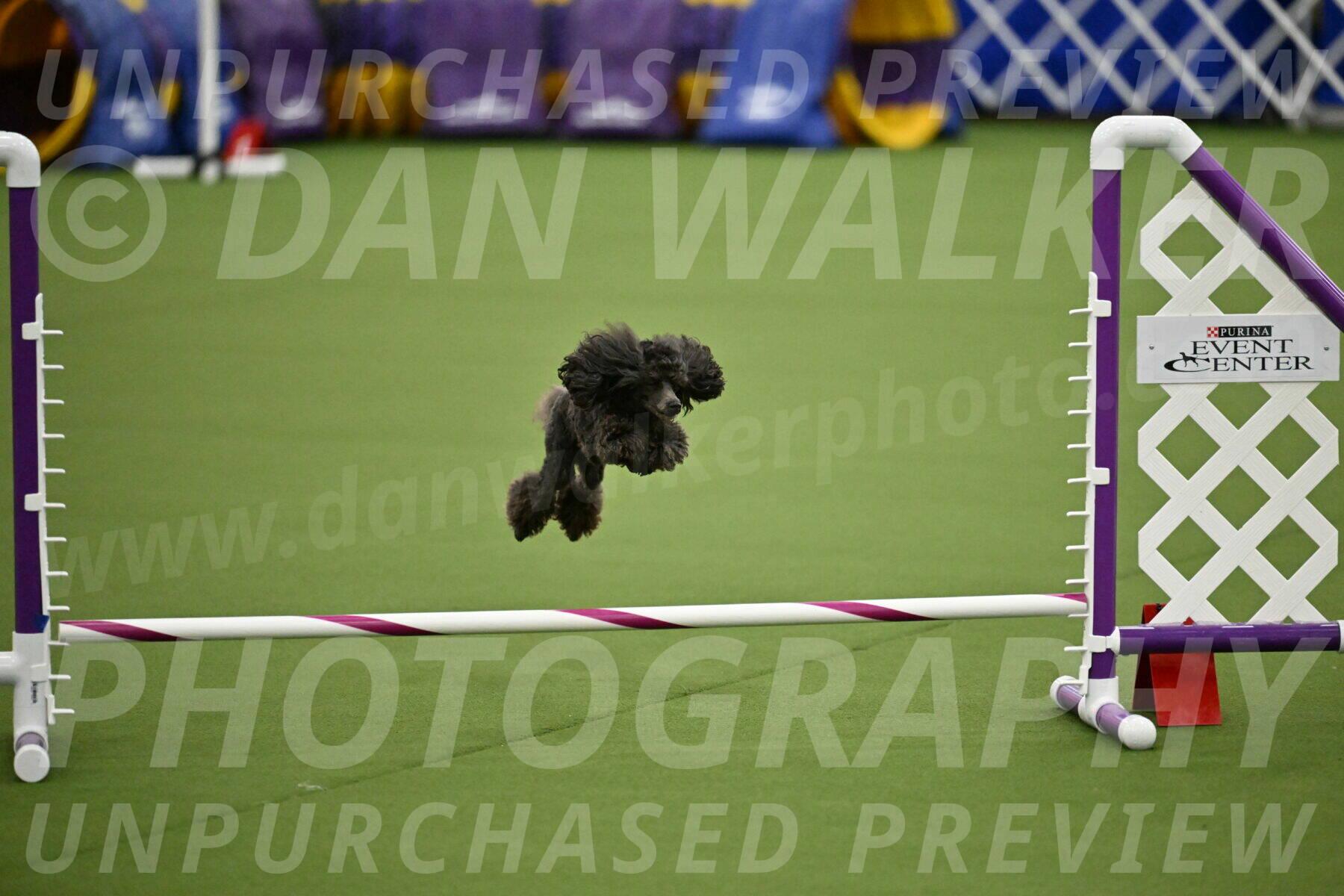 MAS-EX-JWW-4-8-Inch_0819