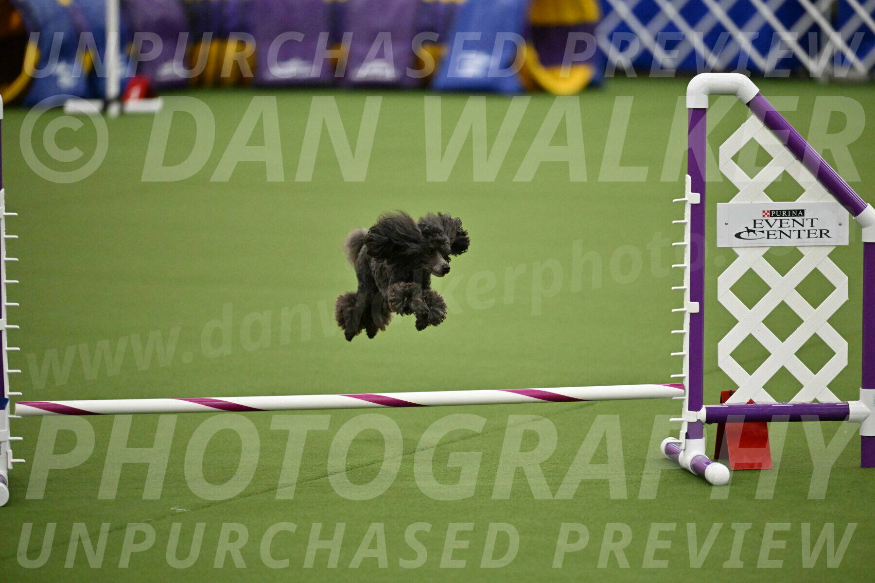 MAS-EX-JWW-4-8-Inch_0820