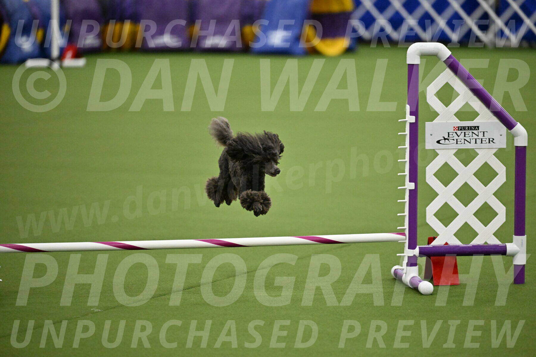 MAS-EX-JWW-4-8-Inch_0821