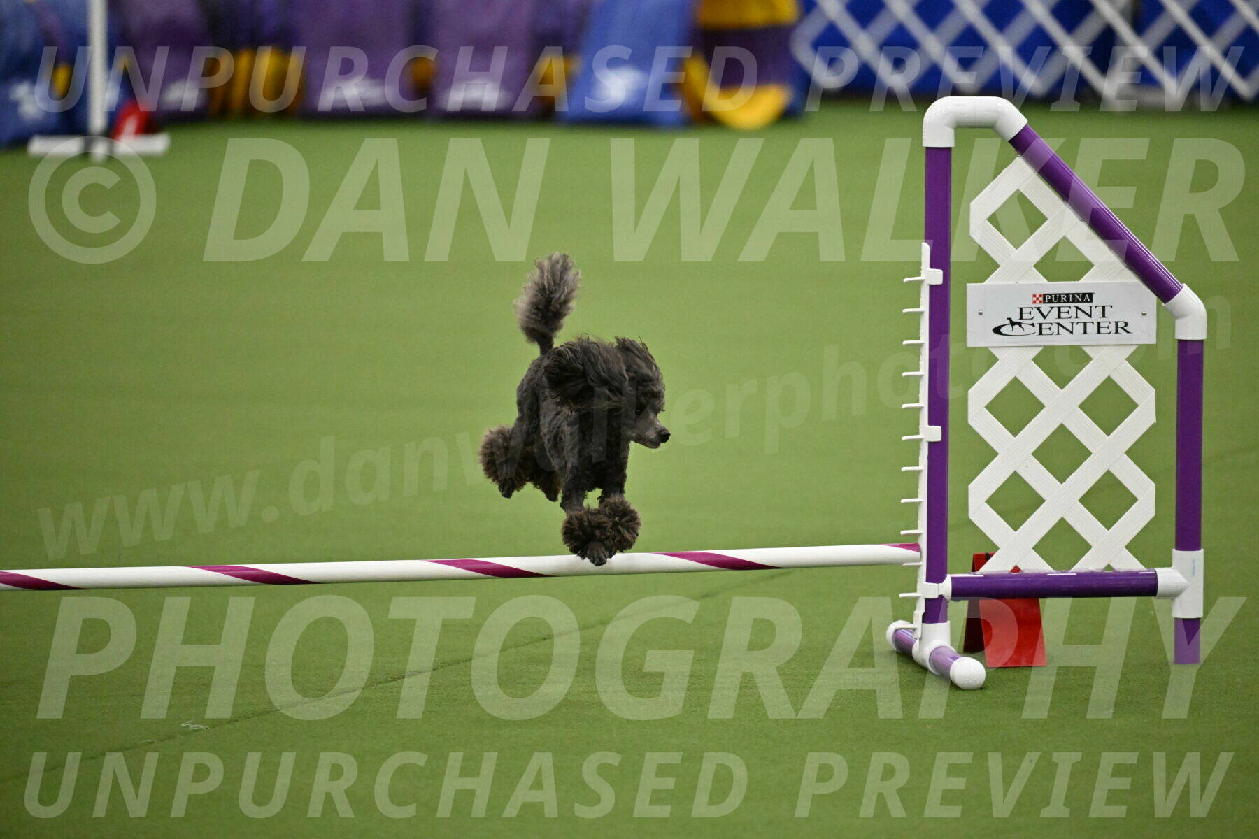 MAS-EX-JWW-4-8-Inch_0822