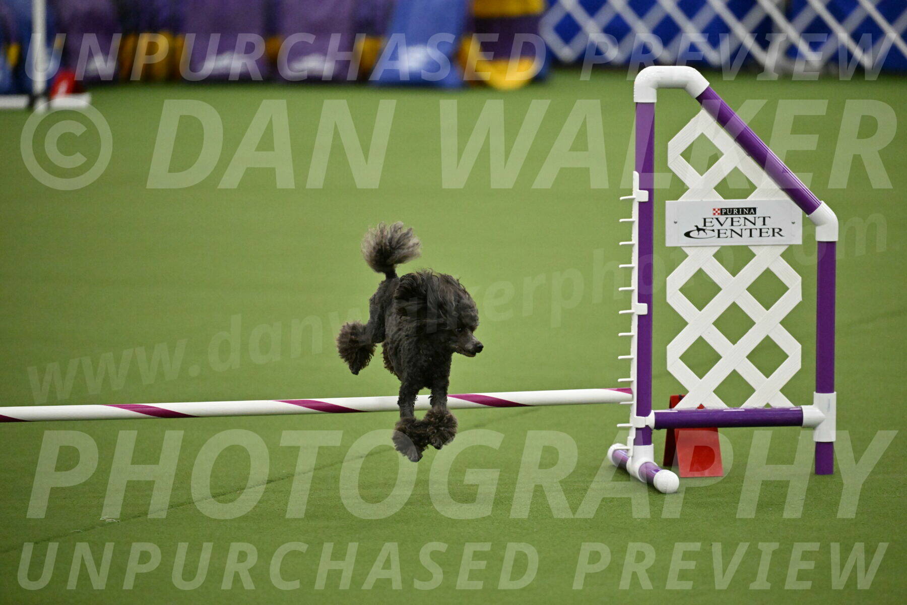 MAS-EX-JWW-4-8-Inch_0823