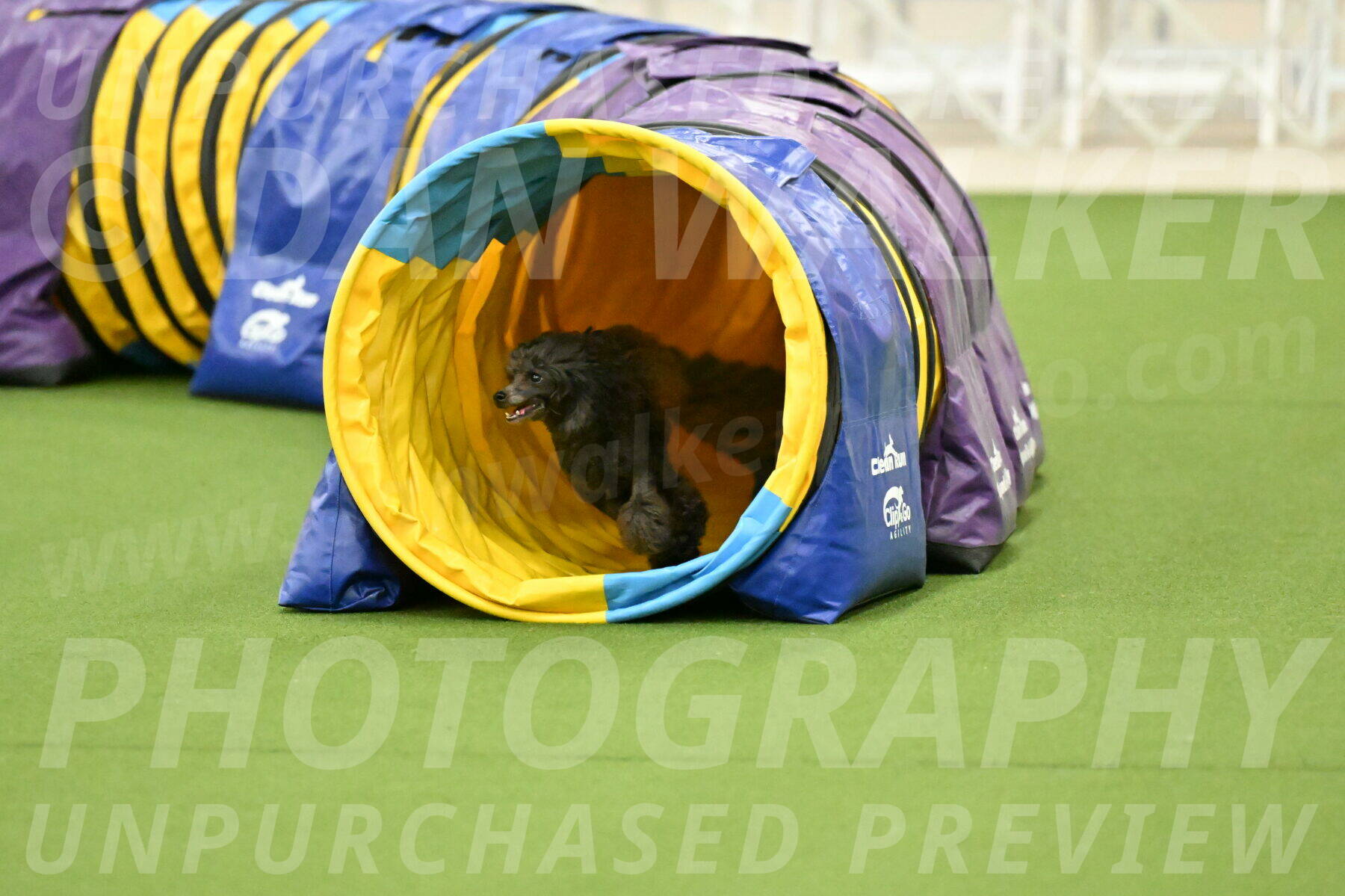 MAS-EX-JWW-4-8-Inch_0829