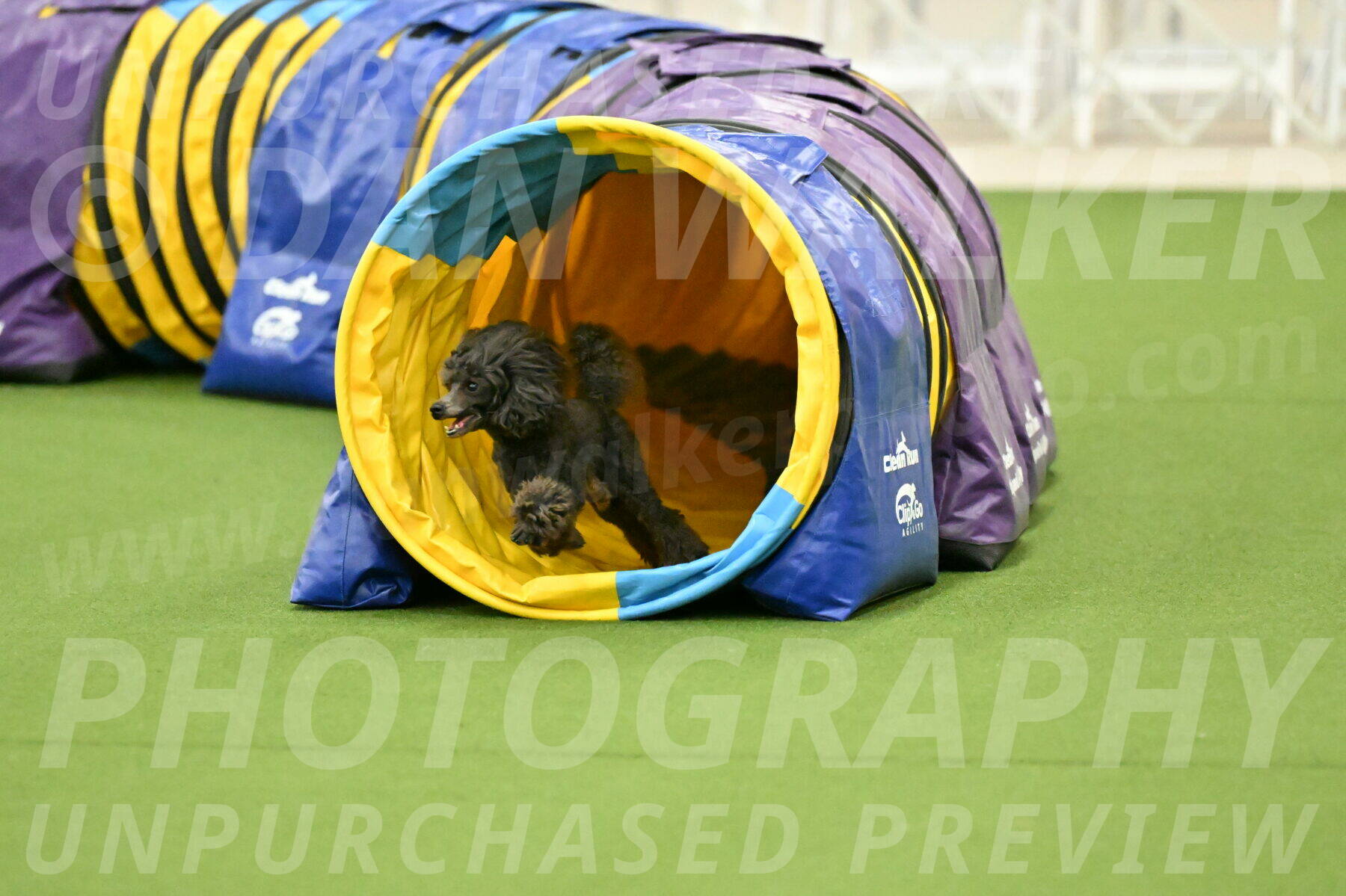 MAS-EX-JWW-4-8-Inch_0830