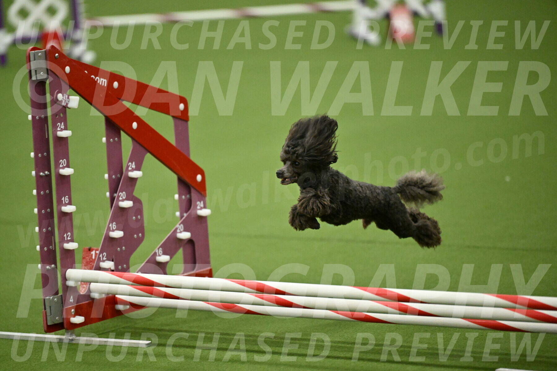 MAS-EX-JWW-4-8-Inch_0841