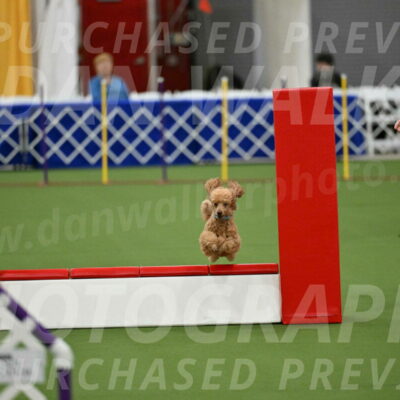 MAS-EX-STD-12-Inch_5002