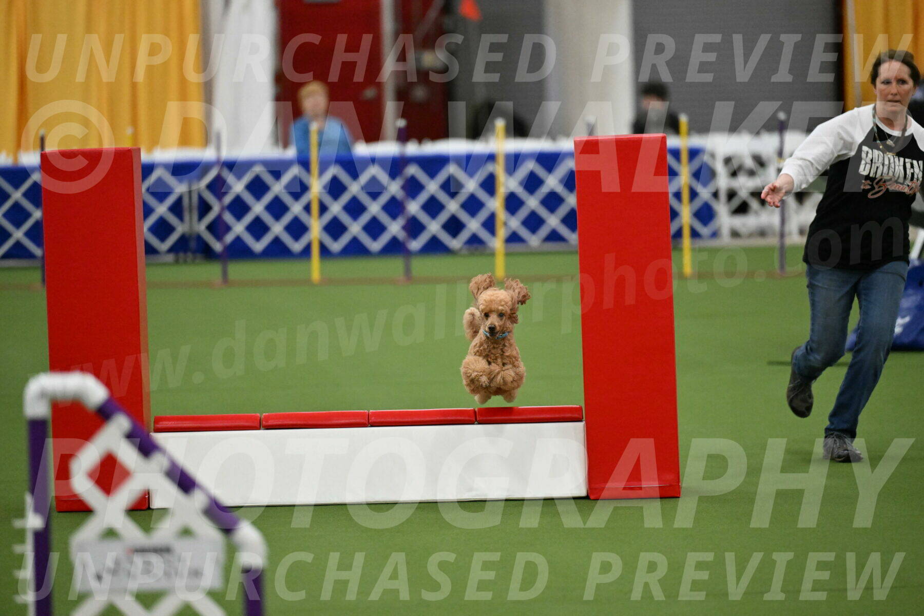 MAS-EX-STD-12-Inch_5002