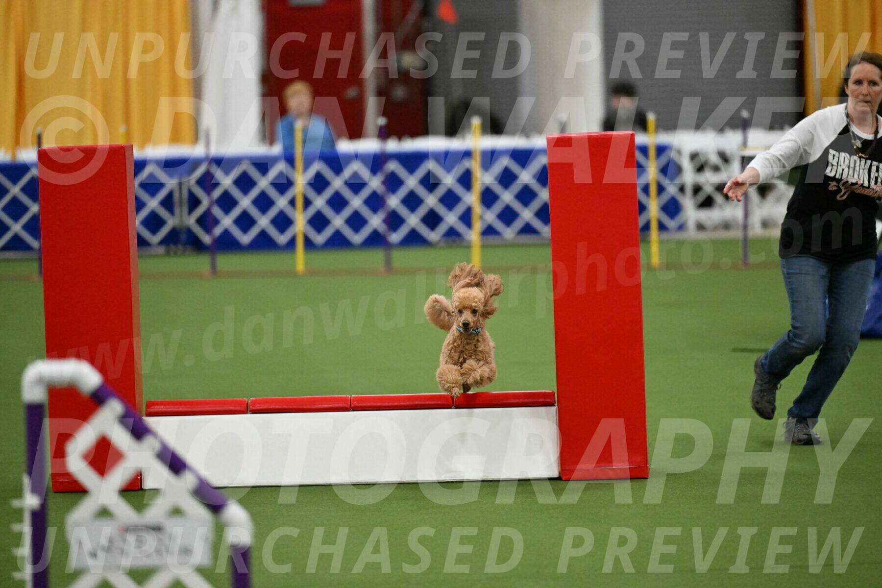 MAS-EX-STD-12-Inch_5003