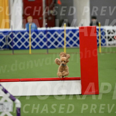 MAS-EX-STD-12-Inch_5003