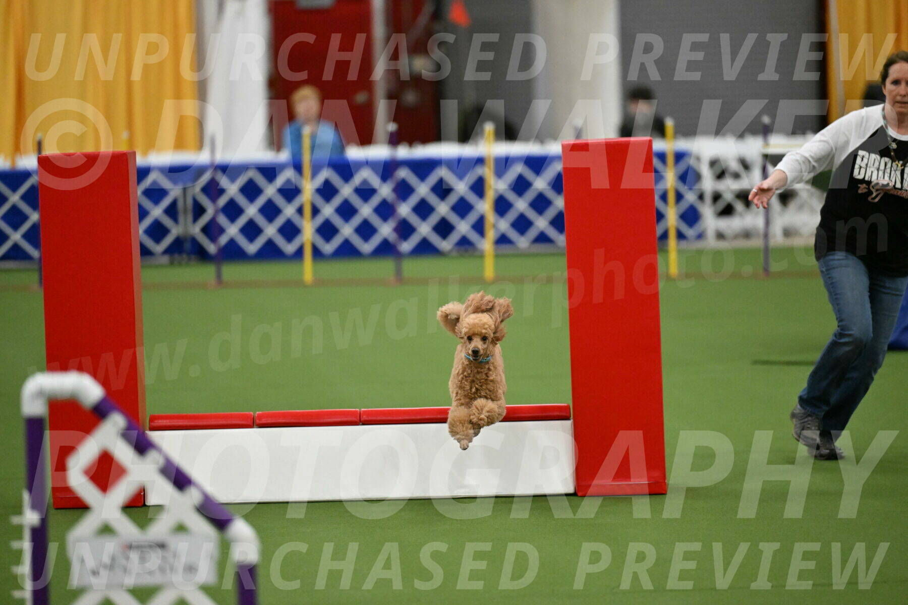 MAS-EX-STD-12-Inch_5004