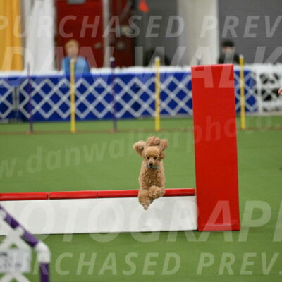 MAS-EX-STD-12-Inch_5004