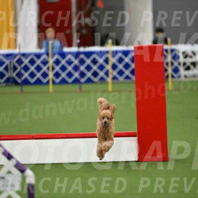 MAS-EX-STD-12-Inch_5005