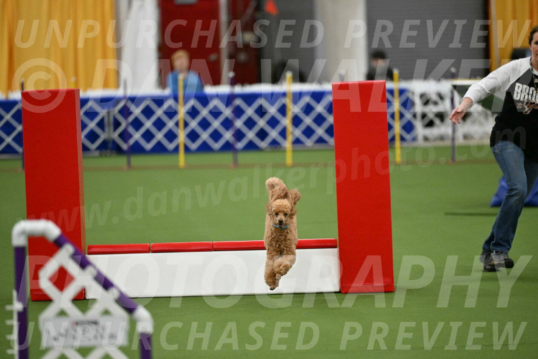 MAS-EX-STD-12-Inch_5005