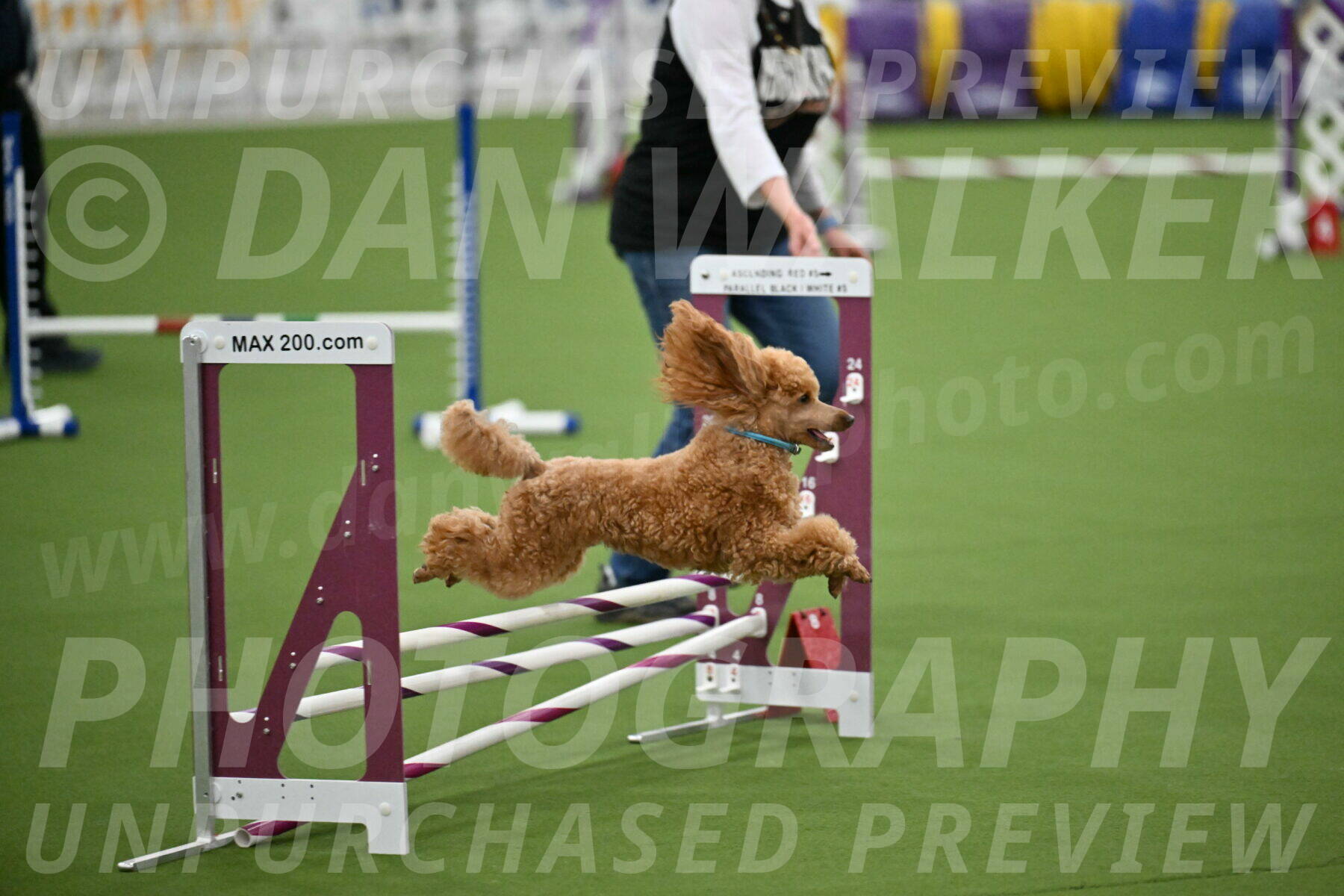 MAS-EX-STD-12-Inch_5011