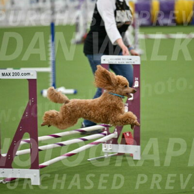 MAS-EX-STD-12-Inch_5011