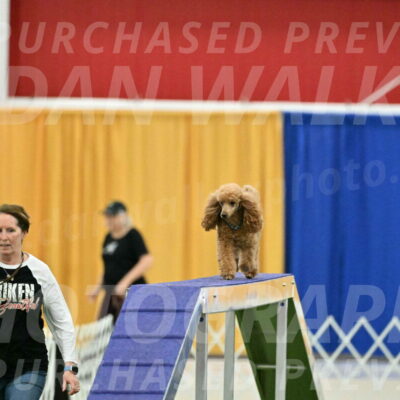 MAS-EX-STD-12-Inch_5013