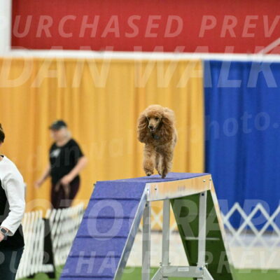 MAS-EX-STD-12-Inch_5014