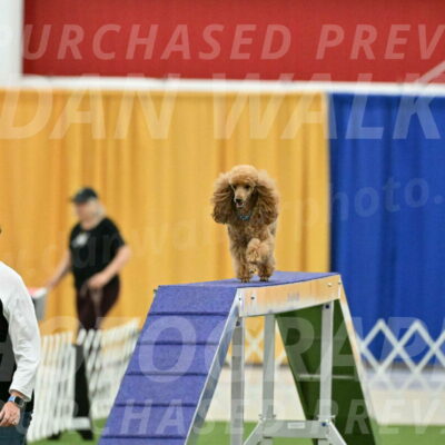 MAS-EX-STD-12-Inch_5016