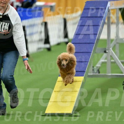 MAS-EX-STD-12-Inch_5018