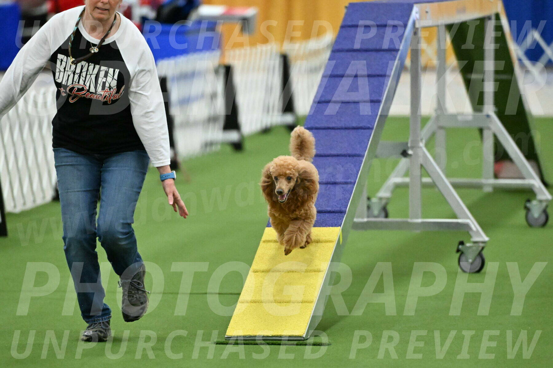 MAS-EX-STD-12-Inch_5018