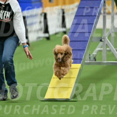 MAS-EX-STD-12-Inch_5019