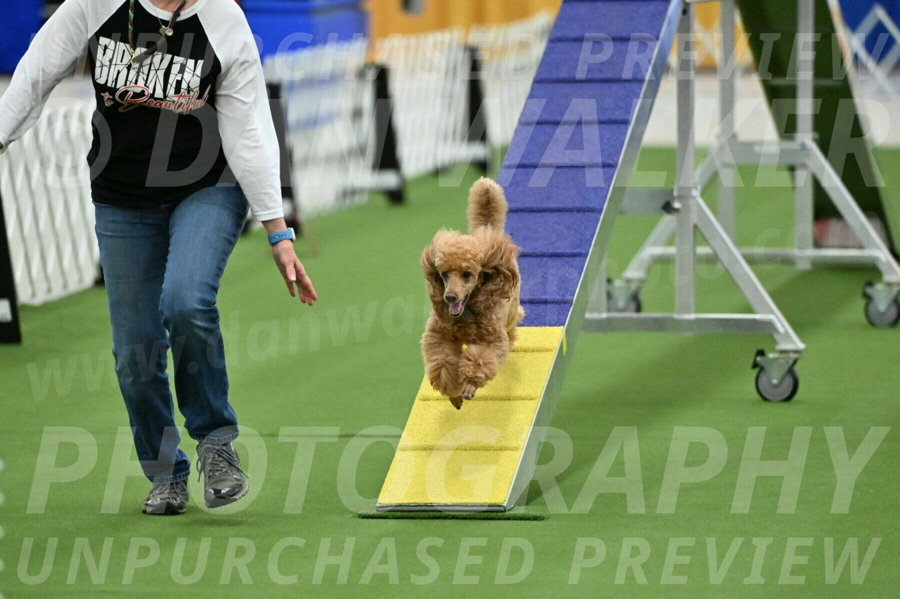 MAS-EX-STD-12-Inch_5019