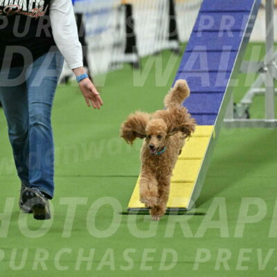 MAS-EX-STD-12-Inch_5020