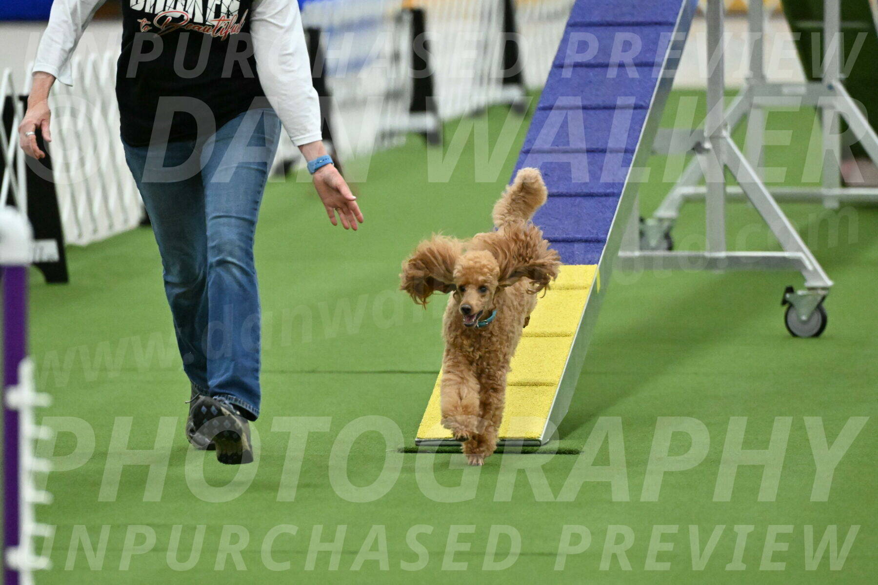 MAS-EX-STD-12-Inch_5020