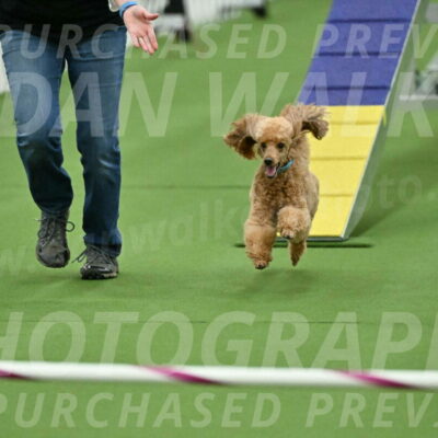 MAS-EX-STD-12-Inch_5023