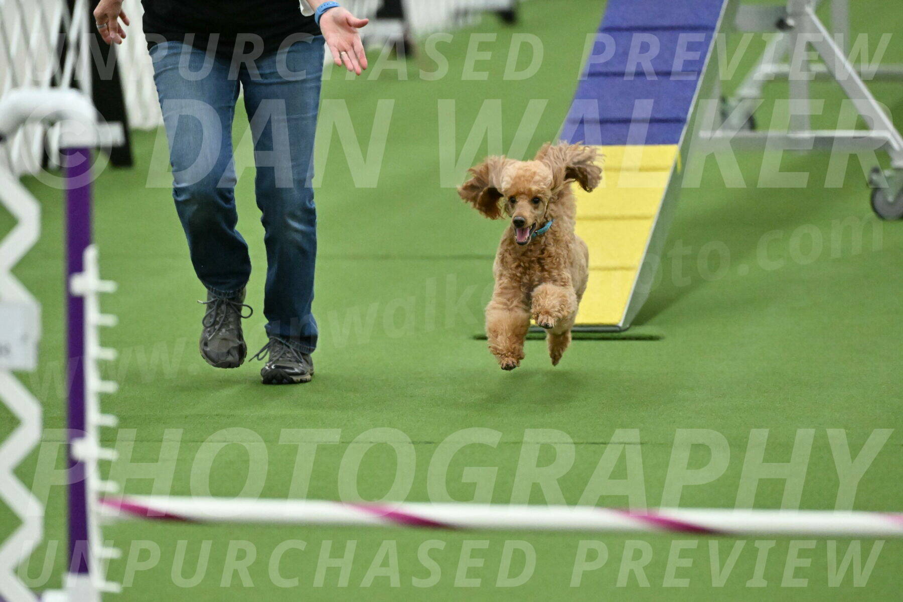 MAS-EX-STD-12-Inch_5023