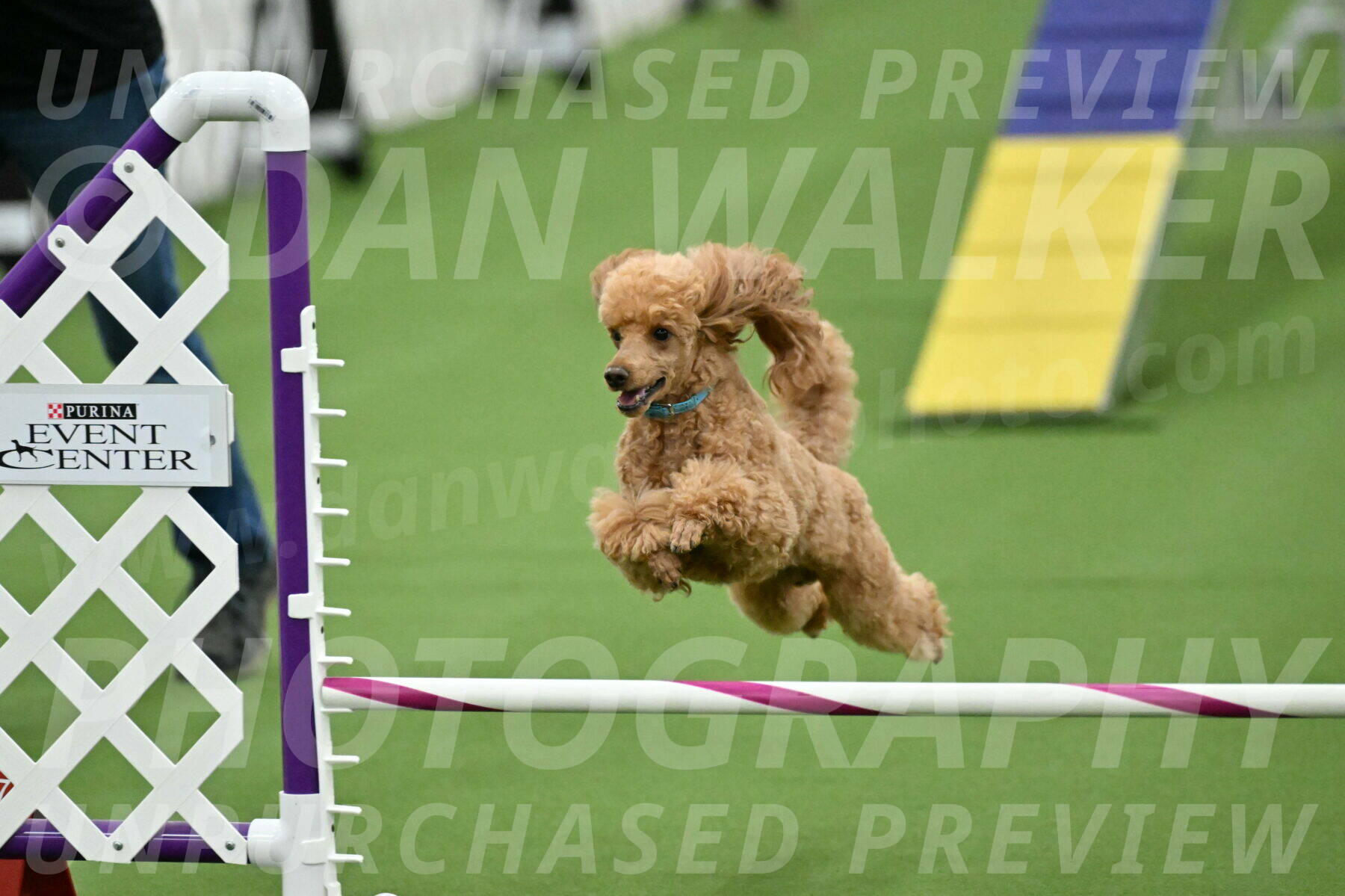 MAS-EX-STD-12-Inch_5025