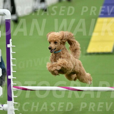 MAS-EX-STD-12-Inch_5025