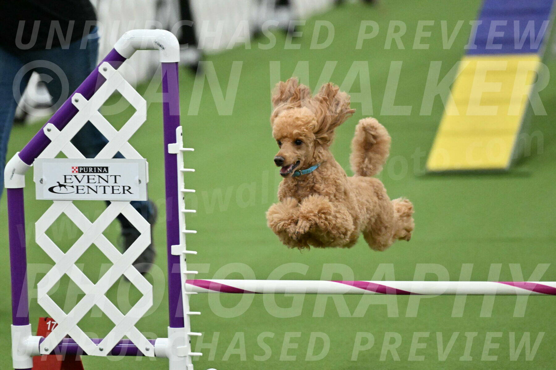 MAS-EX-STD-12-Inch_5026