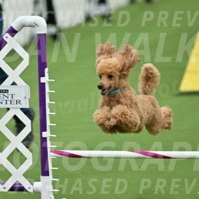 MAS-EX-STD-12-Inch_5026