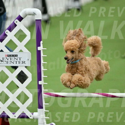 MAS-EX-STD-12-Inch_5027