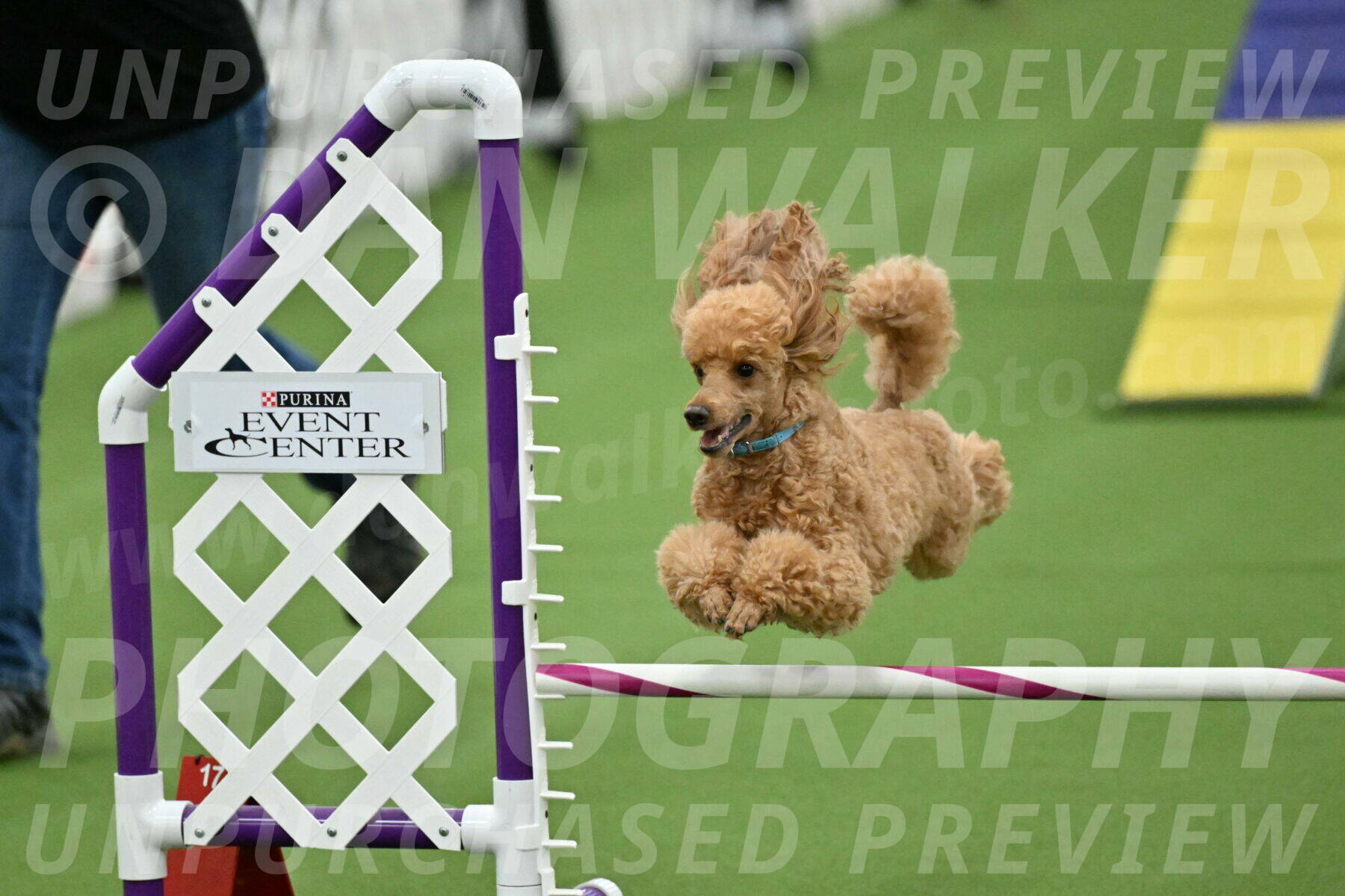 MAS-EX-STD-12-Inch_5027