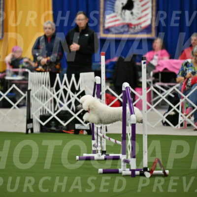 MAS-EX-STD-12-Inch_5029