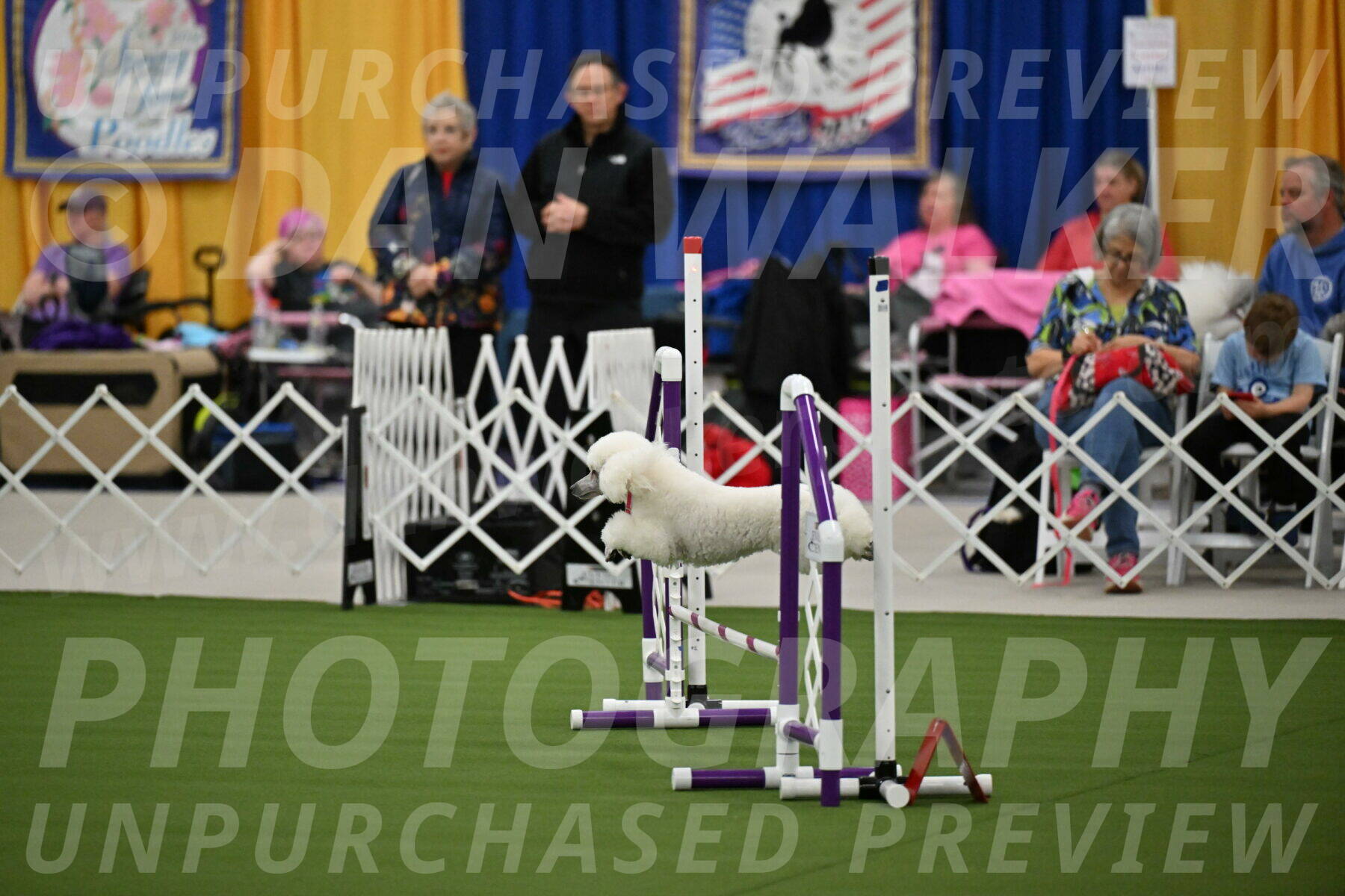 MAS-EX-STD-12-Inch_5029