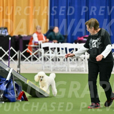 MAS-EX-STD-12-Inch_5031