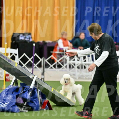 MAS-EX-STD-12-Inch_5034