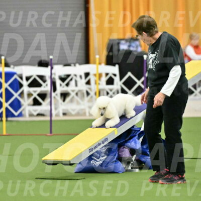 MAS-EX-STD-12-Inch_5037