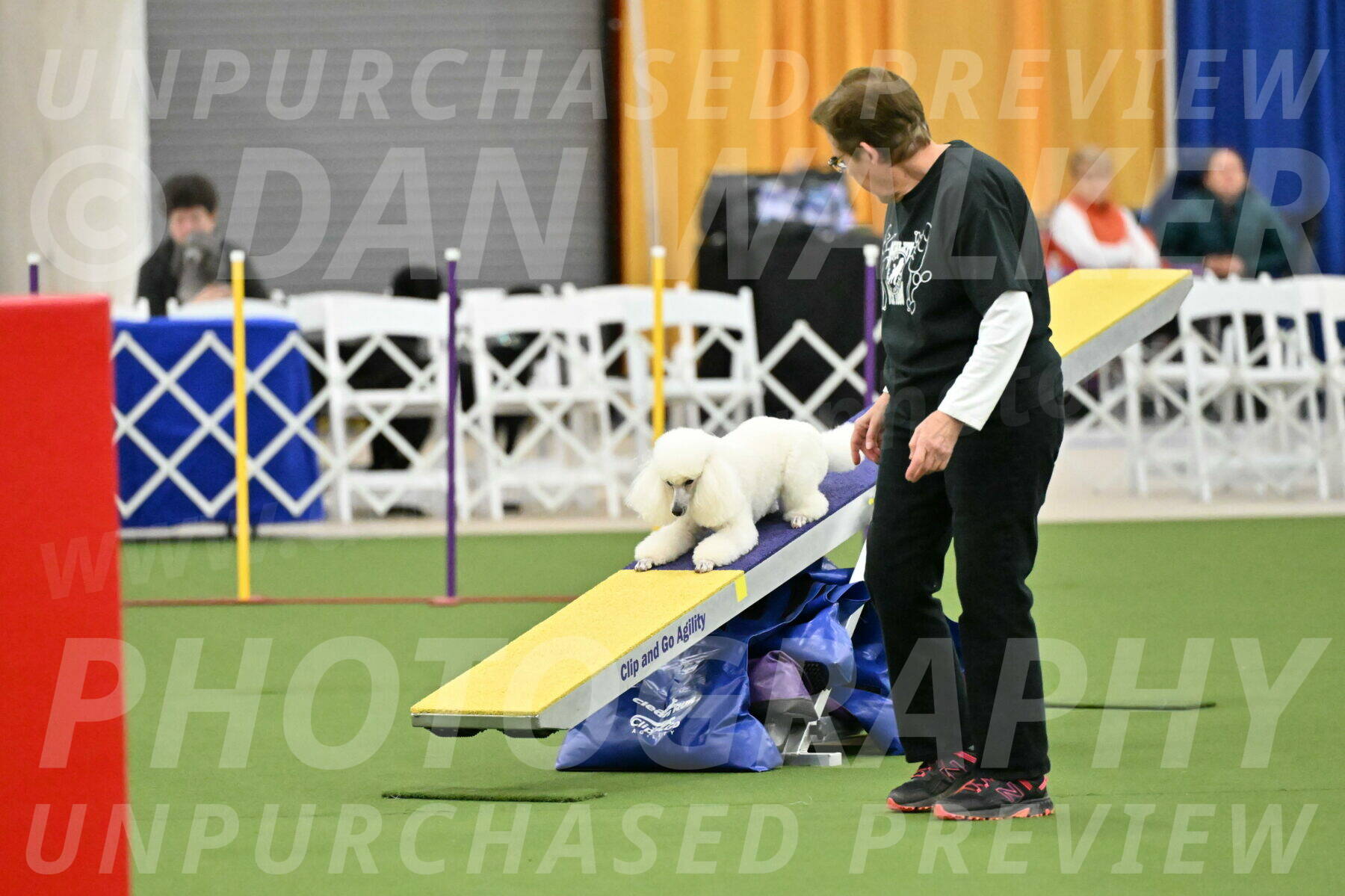 MAS-EX-STD-12-Inch_5037