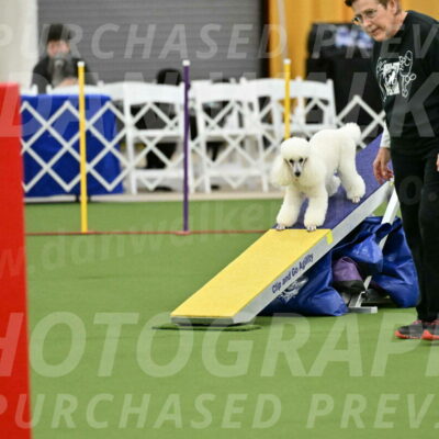 MAS-EX-STD-12-Inch_5043