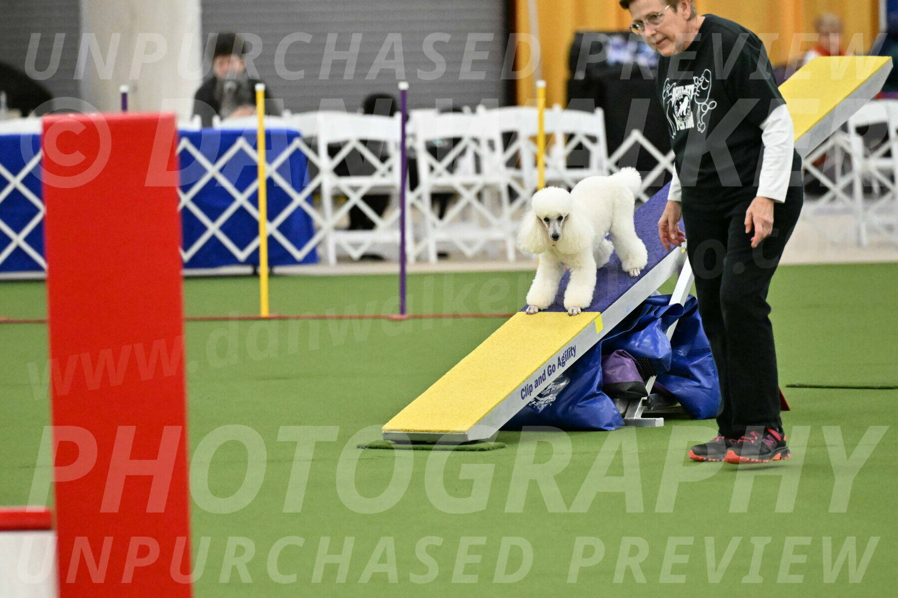 MAS-EX-STD-12-Inch_5043