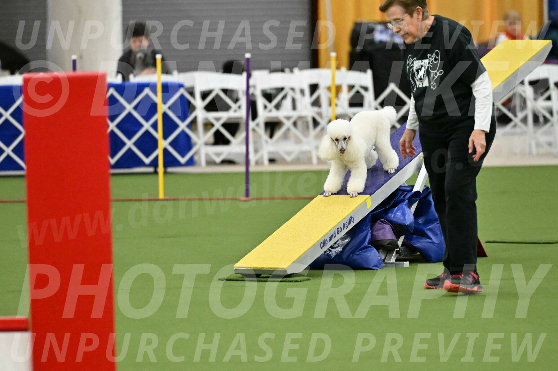 MAS-EX-STD-12-Inch_5045