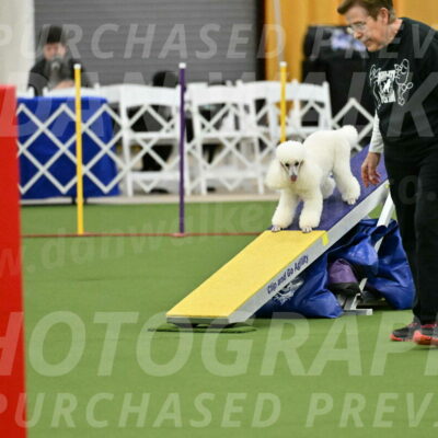 MAS-EX-STD-12-Inch_5045