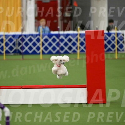 MAS-EX-STD-12-Inch_5058