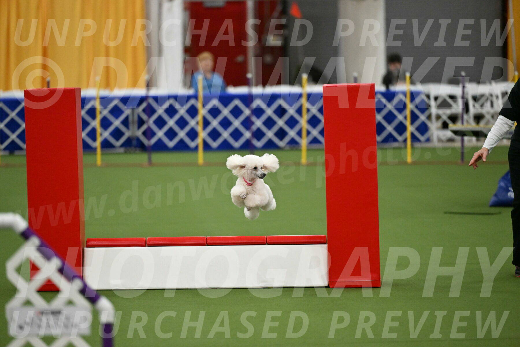 MAS-EX-STD-12-Inch_5058